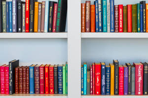 Vast Array Of Colorful Books In A Library Wallpaper