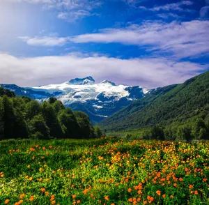 Vast Dreamy Meadow Wallpaper