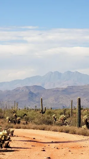 Arizona Football on X: 