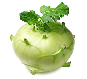 Vegetable Kohlrabi With Tiny Leaf Wallpaper