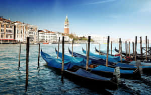 Venetian Gondolasand Campanile View Wallpaper