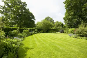 Verdant Lawn Bush And Hedges Wallpaper