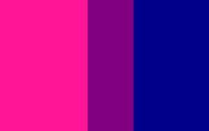 Vertical Bisexual Flag Wallpaper