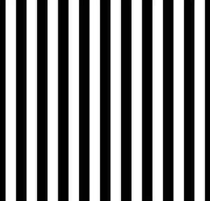 Vertical Black And White Stripes Wallpaper