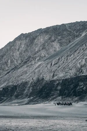 Very High Resolution Distant Horses Wallpaper