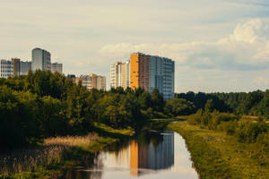 Very High Resolution Urban Greenery Wallpaper