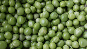 Vibrant And Fresh Green Peas Stacked In A Pile Wallpaper