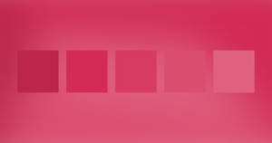 Vibrant Magenta Color Spectrum Wallpaper