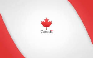 Vibrant Maple Leaf Art Symbolizing Canada Wallpaper