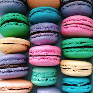 Vibrant Mixed Size French Macaron Wallpaper