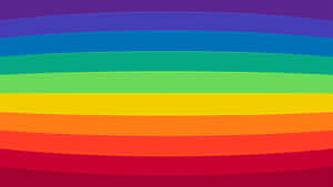 Vibrant Rainbow Arc Background Wallpaper