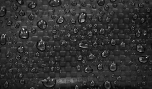 Vibrant Shiny Black Carbon Fiber Wallpaper