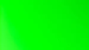 Vibrant Solid Green Wallpaper Wallpaper