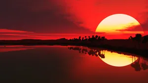 Vibrantly Colored Red 1920x1080 Wallpaper Wallpaper
