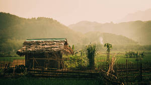 Vietnam Foggy Farm Land Wallpaper