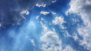 View Of Clear Blue Skies Over A Wheat Field Wallpaper