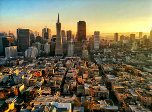 View Of Coit Tower In San Francisco Wallpaper