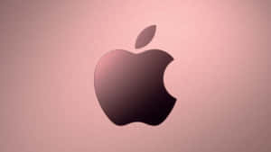 Vignette Effect Rose Gold Apple Wallpaper