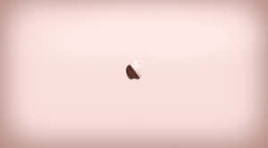 Vignette Style Rose Gold Apple Wallpaper