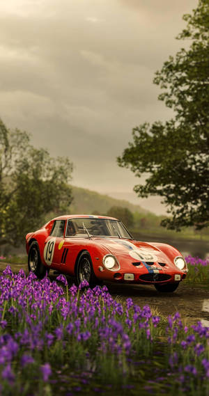 Vintage 250 Gto Ferrari Phone Wallpaper