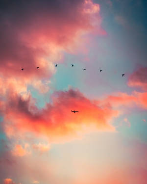 Vintage Aesthetic Clouds Birds Plane Wallpaper