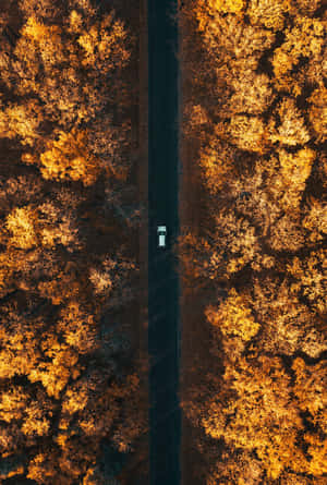 Vintage Autumn Aerial View Car Wallpaper