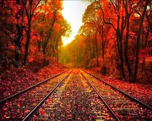 Vintage Autumn Train Tracks Wallpaper
