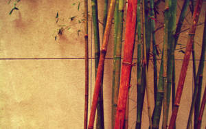 Vintage Red Bamboo Wallpaper
