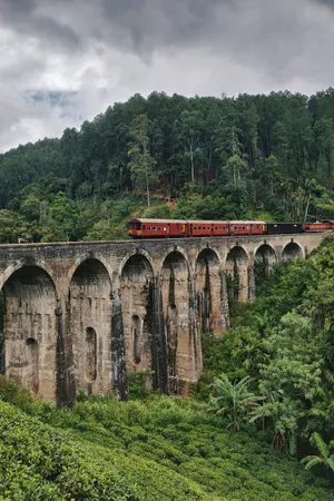 Vintage Train In Forest Wallpaper