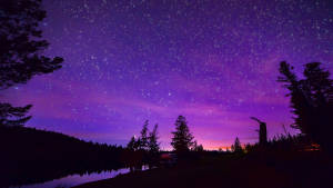 Violet Gradient Skies Starry Night Wallpaper