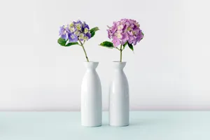 Violet Hydrangea Flowers Wallpaper