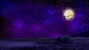 Violet Moon Night Sky Wallpaper
