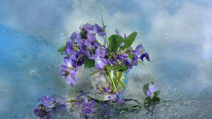 Violets Flower In A Cup Wallpaper