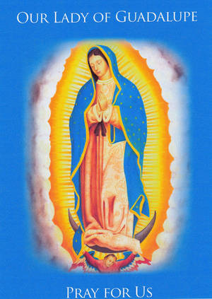 Virgen De Guadalupe Blue Poster Wallpaper