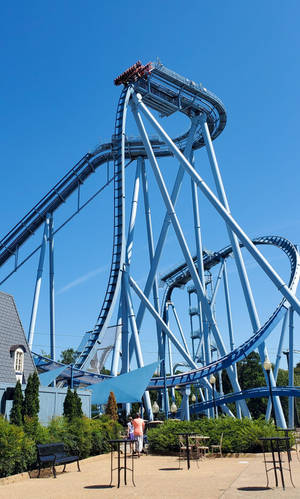 Virginia Busch Park Wallpaper