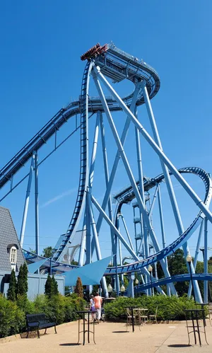 Virginia Busch Park Wallpaper