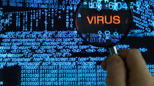 Virus In Codes And Script Hacker 4k Wallpaper
