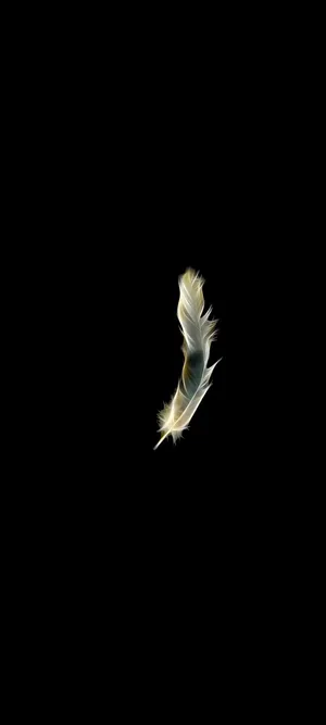Vivo Y20 Floating White Feather Wallpaper
