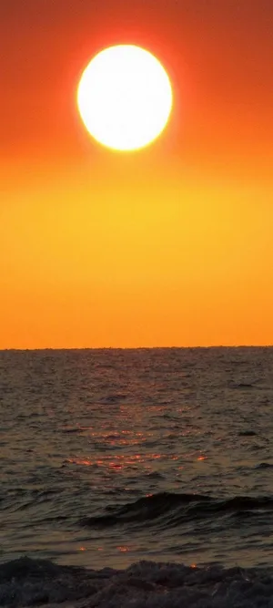 Vivo Y20 Sun Over The Horizon Wallpaper