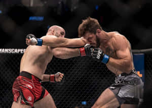 Volkan Oezdemir Vs Nikita Krylov Wallpaper