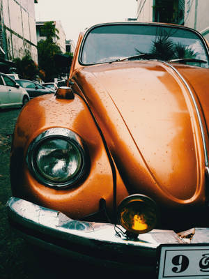 Volkswagen, Volkswagen Beetle, Retro, Auto, Classic Wallpaper