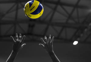 Volleyball Tossed Hd Sports Wallpaper