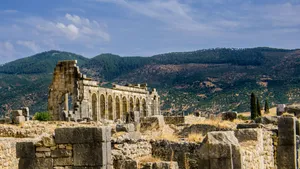 Volubilis Beautiful Complex Wallpaper