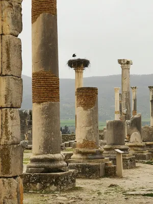 Volubilis Mobile Broken Columns Wallpaper