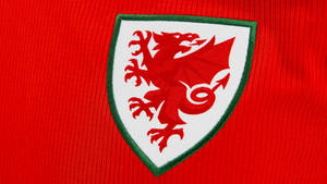 Wales National Football Team Crest On Fabric Wallpaper