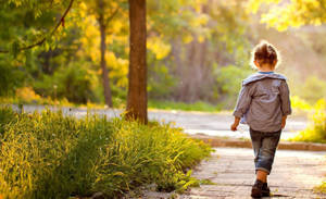 Walking Child On A Sunny Day Wallpaper