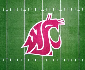 Washington State University Logo On Field Wallpaper