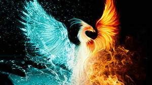 Water And Fire Wings Clash Wallpaper