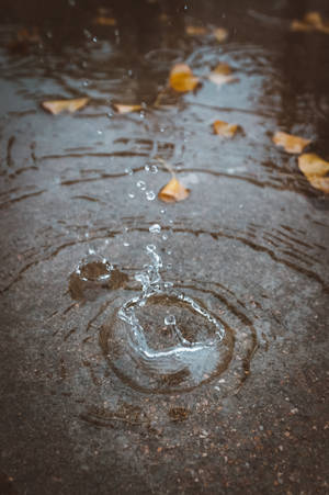 Water Droplet And Puddle Wallpaper