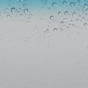 Water Droplets On A Glass Wallpaper